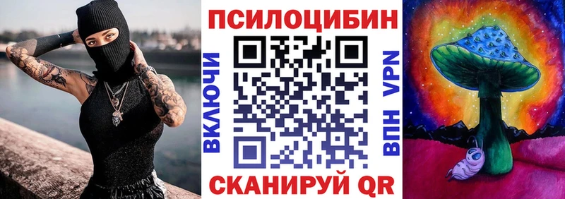 Галлюциногенные грибы Cubensis  Купить закладки  Чегем 